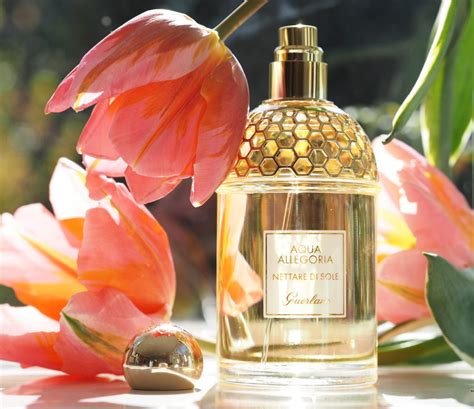 aqua allegoria nectar di sole